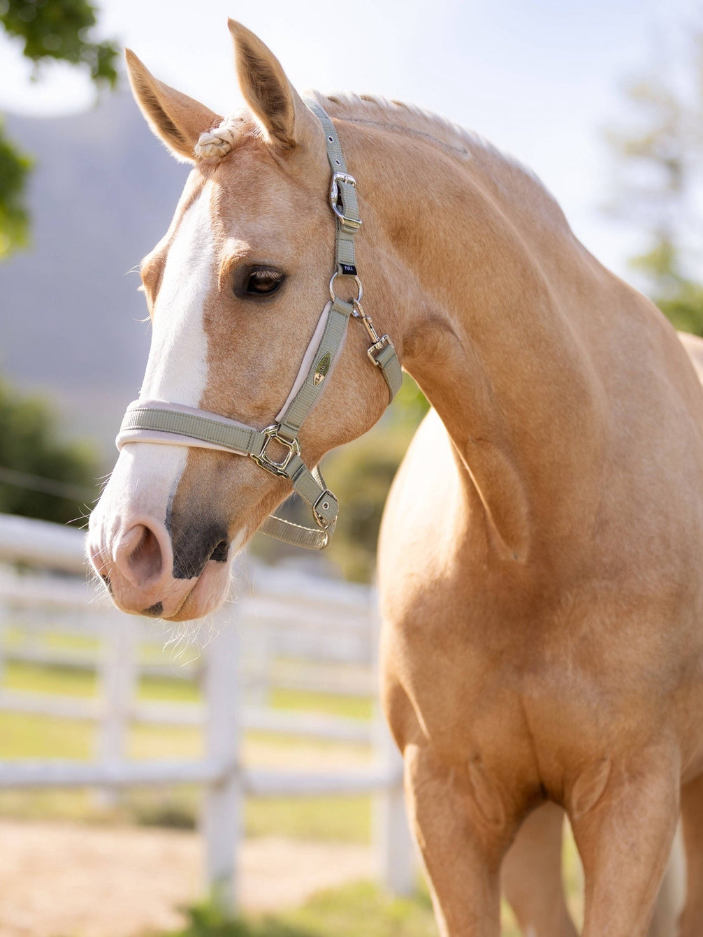 LeMieux Versailles Headcollar Nylon halsters - Maddelin Equestrian LeMieux