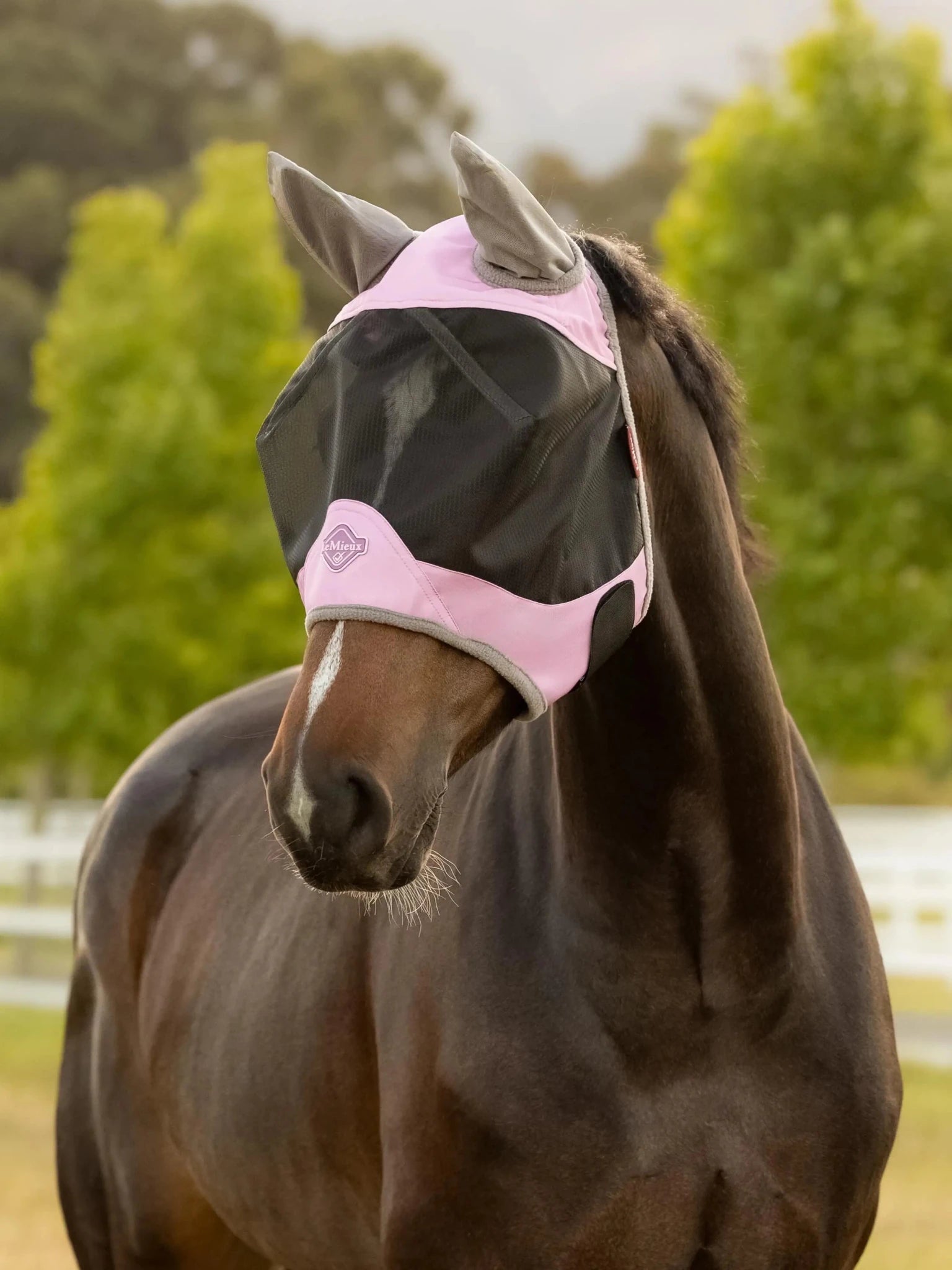 LeMieux Visor Tek Vliegenmasker Vliegenmaskers en lintjes - Maddelin Equestrian LeMieux