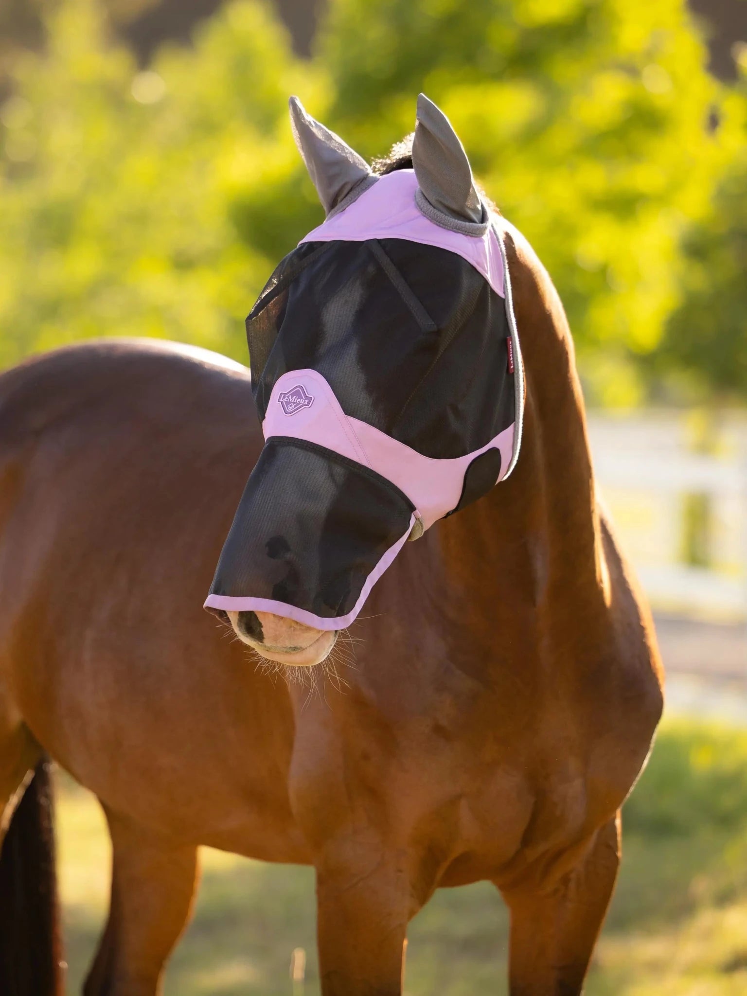 LeMieux Visor Tek Vliegenmasker Vliegenmaskers en lintjes - Maddelin Equestrian LeMieux