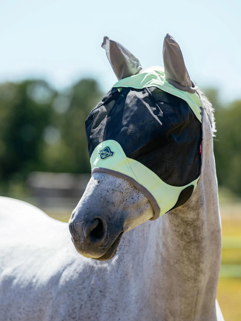 LeMieux Visor Tek Vliegenmasker Vliegenmaskers en lintjes - Maddelin Equestrian LeMieux