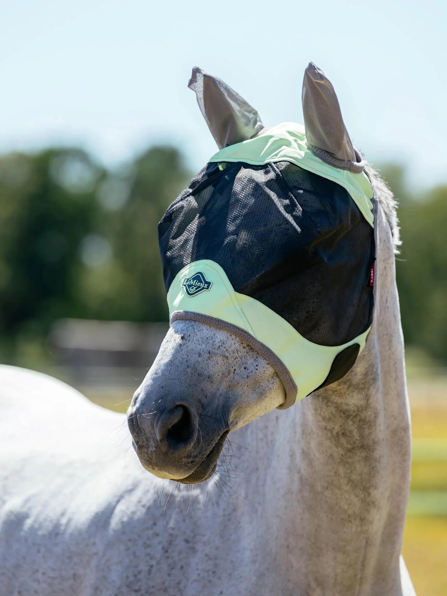 LeMieux Visor Tek Vliegenmasker Vliegenmaskers en lintjes - Maddelin Equestrian LeMieux
