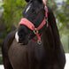 LeMieux Vogue Halster met Halstertouw AW26 Nylon halsters - Maddelin Equestrian
