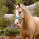 LeMieux Vogue Halster met touw SS25 Nylon halsters - Maddelin Equestrian LeMieux