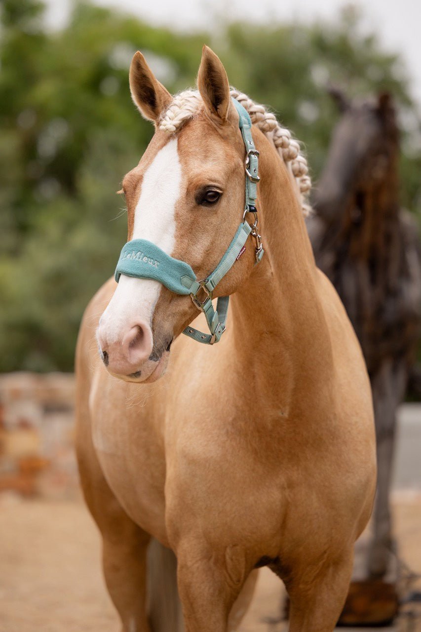 LeMieux Vogue Halster met touw SS25 Nylon halsters - Maddelin Equestrian LeMieux