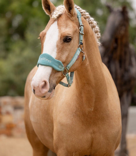 LeMieux Vogue Halster met touw SS25 Nylon halsters - Maddelin Equestrian LeMieux