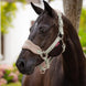 LeMieux Vogue Halster SS24 Nylon halsters - Maddelin Equestrian LeMieux