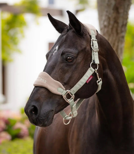 LeMieux Vogue Halster SS24 Nylon halsters - Maddelin Equestrian LeMieux