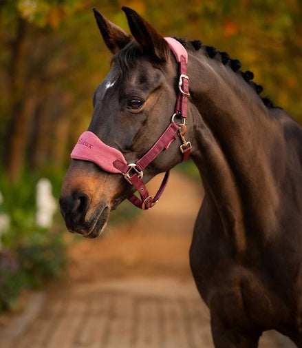 LeMieux Vogue Halster & Touw Halster met wol of faux fur - Maddelin Equestrian LeMieux