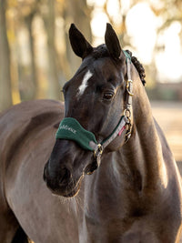 LeMieux Vogue Halster & Touw Halster met wol of faux fur - Maddelin Equestrian LeMieux