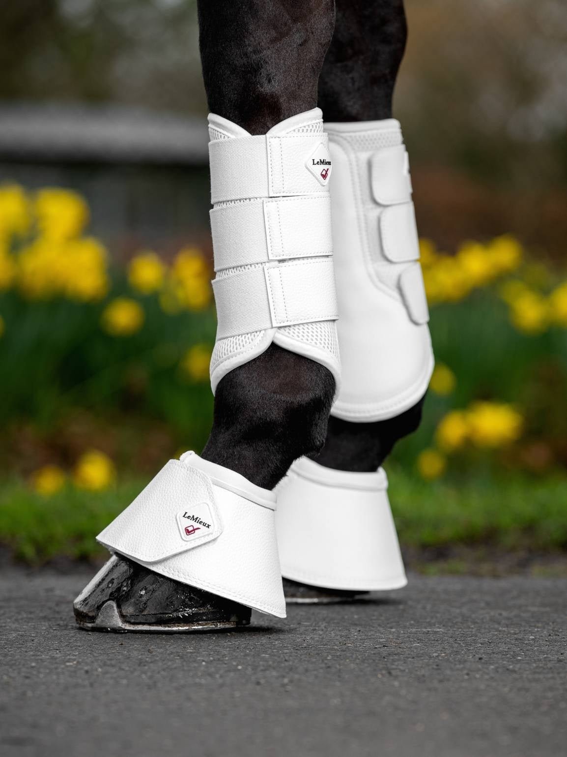 LeMieux WrapRound Lederen Springschoenen Springschoenen - Maddelin Equestrian LeMieux