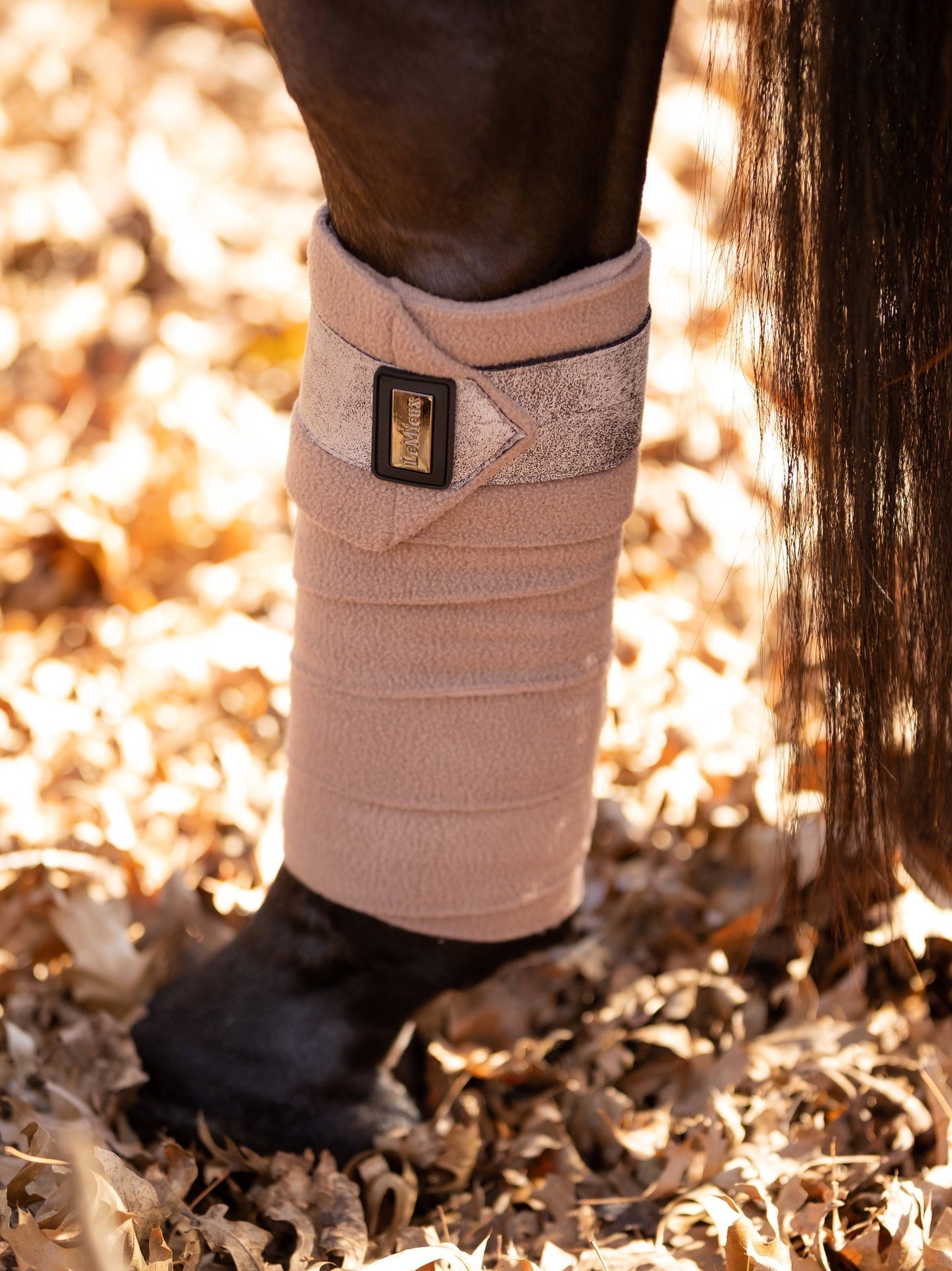 LeMieux Zadeldek - Bandages - Oornetje Rhone Collection Zadeldoeken - Maddelin Equestrian LeMieux