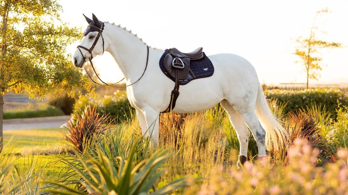 LeMieux Zadeldek Loire Memory Close Contact Square Zadeldoeken - Maddelin Equestrian LeMieux