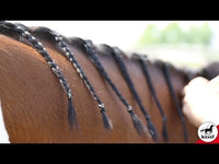 Leovet 5 - Star Vlechtgel Verzorgingsproducten - Maddelin Equestrian Leovet