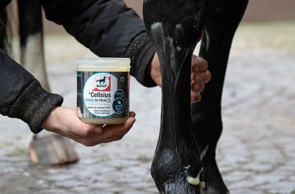 Leovet Cellsius Cooling Gel 600ml Verzorgingsproducten - Maddelin Equestrian Leovet