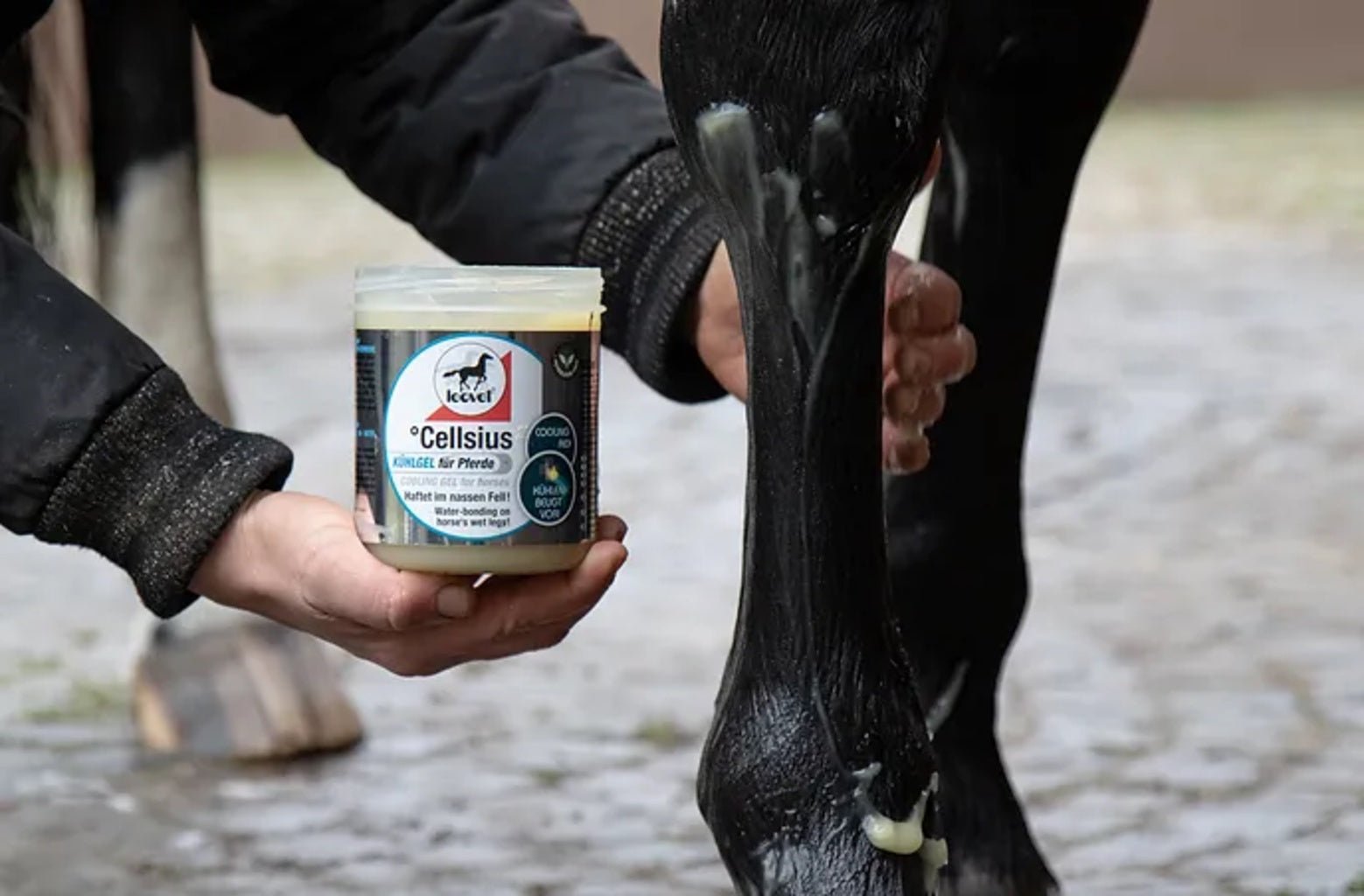 Leovet Cellsius Cooling Gel 600ml Verzorgingsproducten - Maddelin Equestrian Leovet