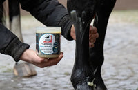 Leovet Cellsius Cooling Gel 600ml Verzorgingsproducten - Maddelin Equestrian Leovet
