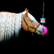 Likit Boredom Breaker - Speelbal Speelgoed voor paarden - Maddelin Equestrian Likit