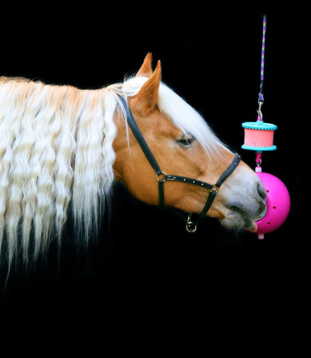 Likit Boredom Breaker - Speelbal Speelgoed voor paarden - Maddelin Equestrian Likit