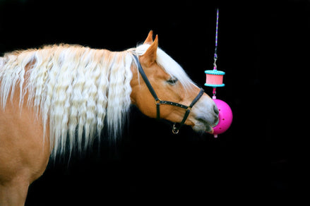 Likit Boredom Breaker - Speelbal Speelgoed voor paarden - Maddelin Equestrian Likit