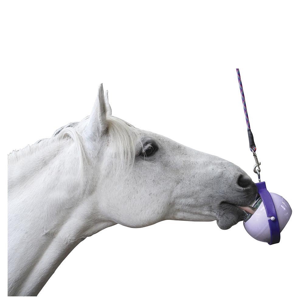 Likit Boredom Buster Snoepjes en likstenen - Maddelin Equestrian Likit