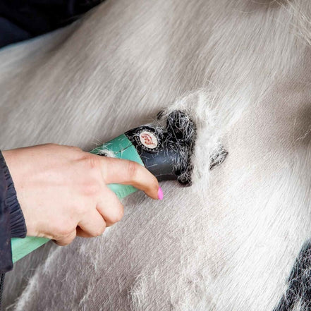 Lister Star Scheermachine met Opbergtas – Groen Scheermachines - Maddelin Equestrian Lister