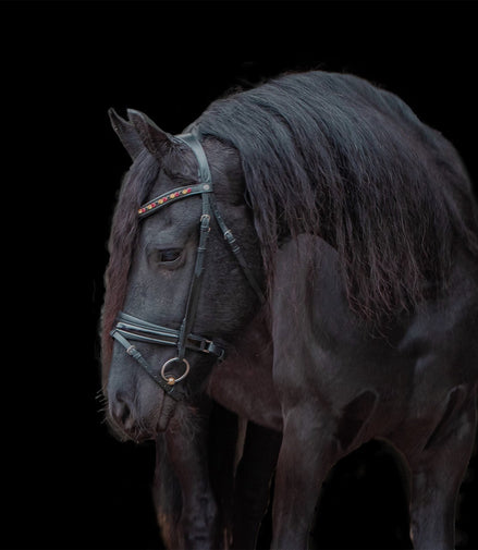 LJ Leathers Frondeel Belgium Frontriemen - Maddelin Equestrian LJ Leathers