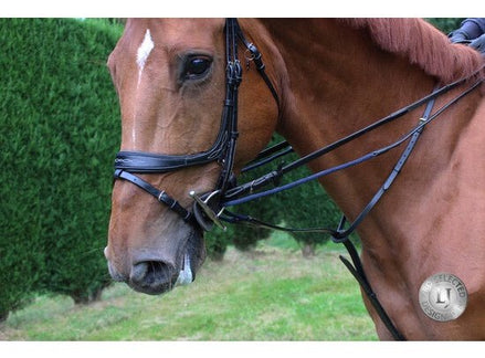 LJ Leathers Full Jump Assist By Symons Hulpteugels - Maddelin Equestrian LJ Leathers