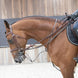 LJ Leathers Full Jump Assist By Symons Hulpteugels - Maddelin Equestrian LJ Leathers
