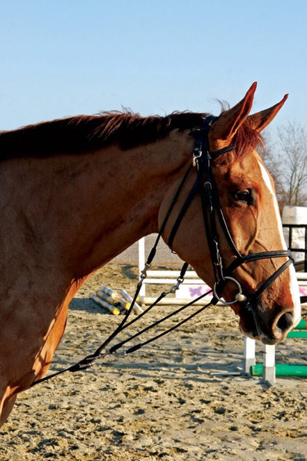 LJ Leathers Gogue Hulpteugels - Maddelin Equestrian LJ Leathers