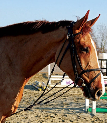 LJ Leathers Gogue Hulpteugels - Maddelin Equestrian LJ Leathers