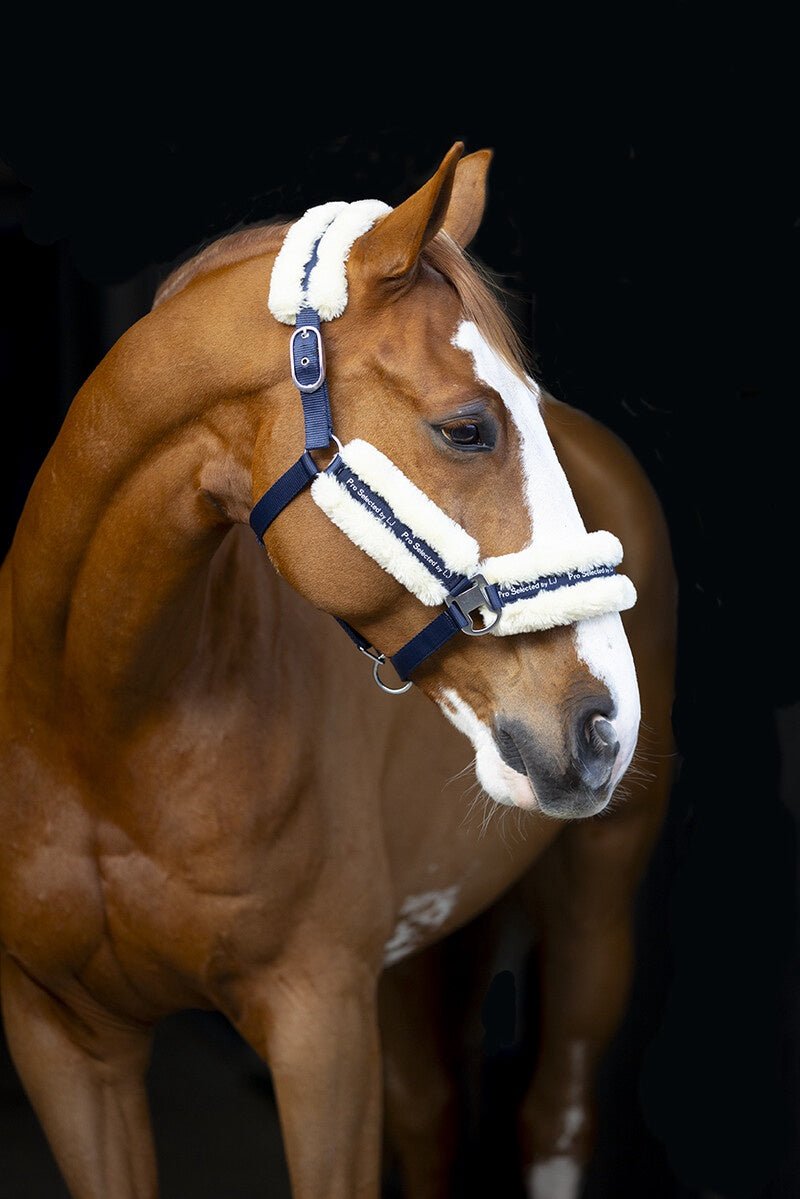 LJ Leathers Halster Nylon Met Vacht Halster met wol of faux fur - Maddelin Equestrian LJ Leathers