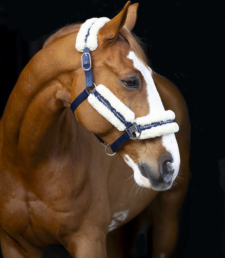 LJ Leathers Halster Nylon Met Vacht Halster met wol of faux fur - Maddelin Equestrian LJ Leathers