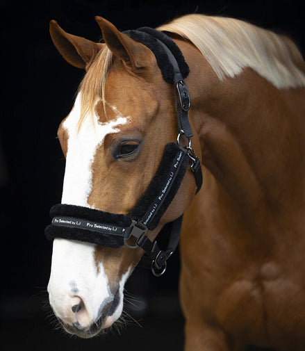 LJ Leathers Halster Nylon Met Vacht Halster met wol of faux fur - Maddelin Equestrian LJ Leathers