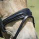 LJ Leathers Hoofdstel Antrado Trenshoofdstellen - Maddelin Equestrian LJ Leathers