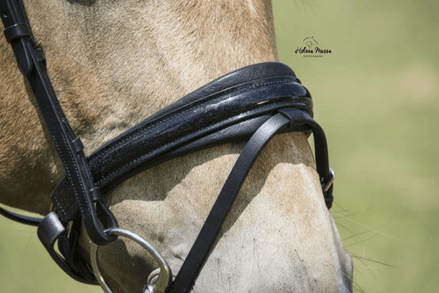 LJ Leathers Hoofdstel Antrado Trenshoofdstellen - Maddelin Equestrian LJ Leathers