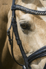 LJ Leathers Hoofdstel Antrado Trenshoofdstellen - Maddelin Equestrian LJ Leathers