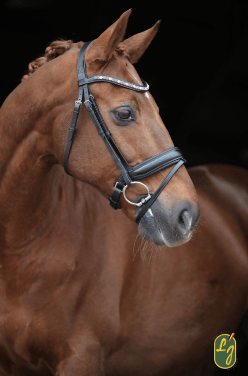 LJ Leathers Hoofdstel Brownie Aansnoerneusriem Trenshoofdstellen - Maddelin Equestrian LJ Leathers