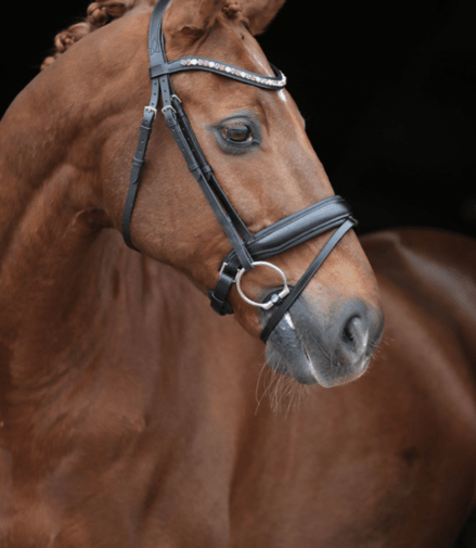LJ Leathers Hoofdstel Brownie Aansnoerneusriem Trenshoofdstellen - Maddelin Equestrian LJ Leathers