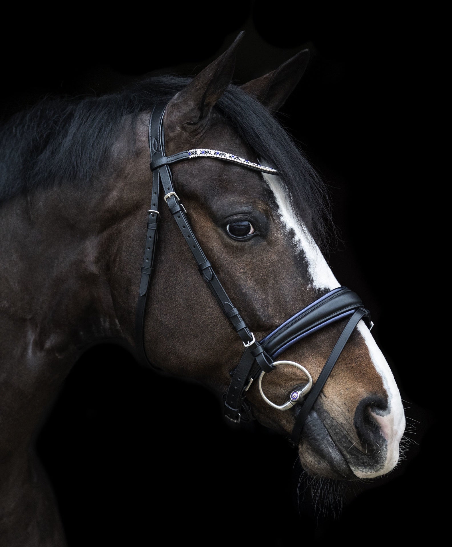 LJ Leathers Hoofdstel "Dreaming Blue" Limited Edition Trenshoofdstellen - Maddelin Equestrian LJ Leathers