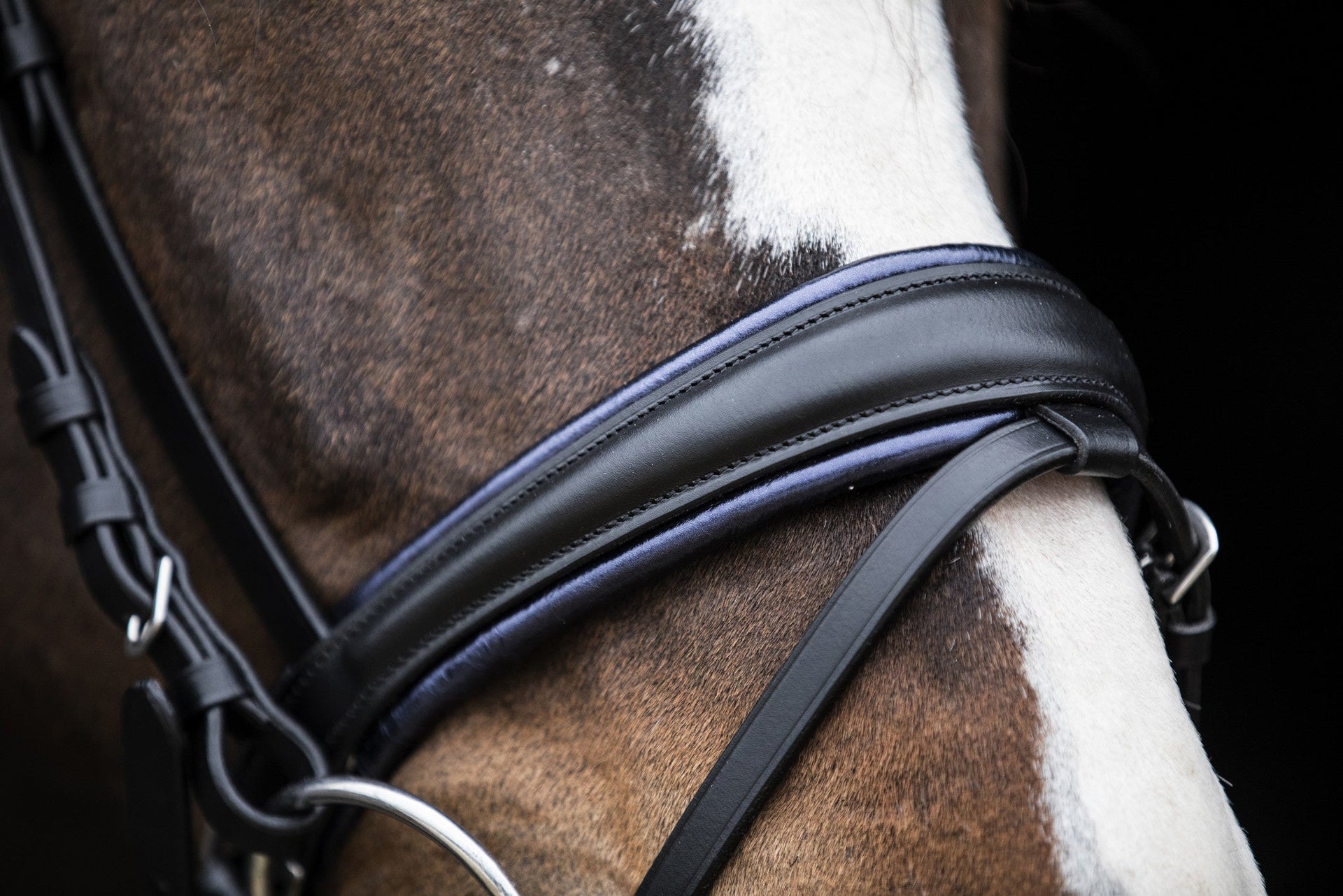 LJ Leathers Hoofdstel "Dreaming Blue" Limited Edition Trenshoofdstellen - Maddelin Equestrian LJ Leathers