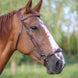 LJ Leathers Hoofdstel Fancy Lage Neusriem Trenshoofdstellen - Maddelin Equestrian LJ Leathers