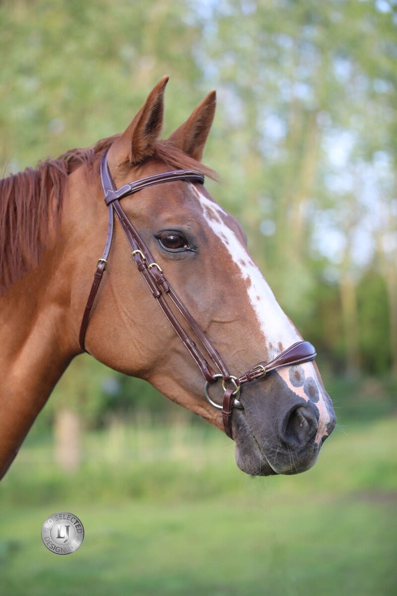 LJ Leathers Hoofdstel Fancy Lage Neusriem Trenshoofdstellen - Maddelin Equestrian LJ Leathers