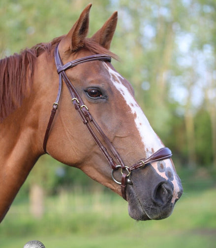 LJ Leathers Hoofdstel Fancy Lage Neusriem Trenshoofdstellen - Maddelin Equestrian LJ Leathers