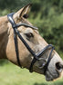 LJ Leathers Hoofdstel IRIS gecombineerde neusriem Trenshoofdstellen - Maddelin Equestrian LJ Leathers