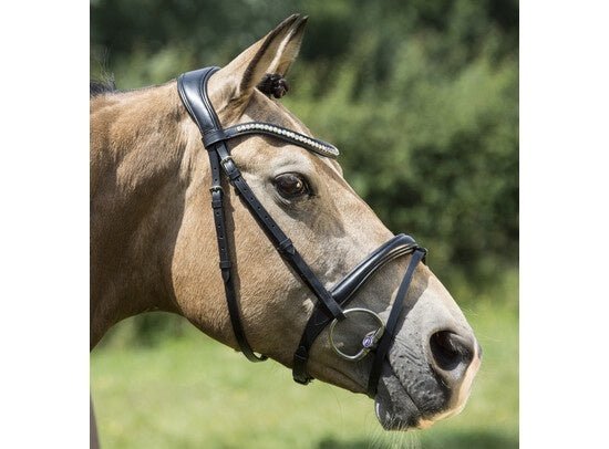 LJ Leathers Hoofdstel IRIS gecombineerde neusriem Trenshoofdstellen - Maddelin Equestrian LJ Leathers