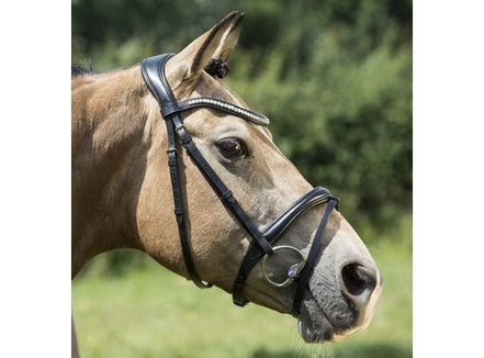 LJ Leathers Hoofdstel IRIS gecombineerde neusriem Trenshoofdstellen - Maddelin Equestrian LJ Leathers