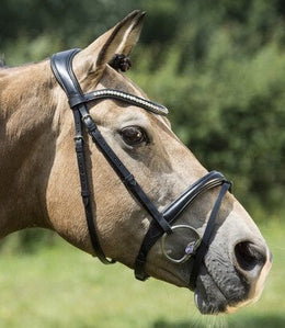 LJ Leathers Hoofdstel IRIS gecombineerde neusriem Trenshoofdstellen - Maddelin Equestrian LJ Leathers
