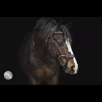 LJ Leathers Hoofdstel JACKSON Trenshoofdstellen - Maddelin Equestrian LJ Leathers