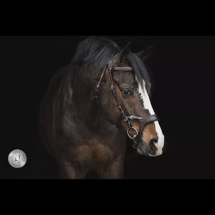 LJ Leathers Hoofdstel JACKSON Trenshoofdstellen - Maddelin Equestrian LJ Leathers