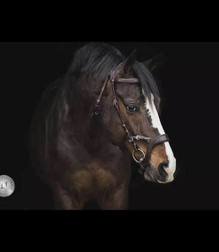 LJ Leathers Hoofdstel JACKSON Trenshoofdstellen - Maddelin Equestrian LJ Leathers